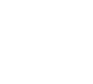 The Big Q