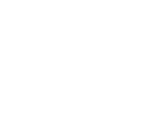 The Big Q